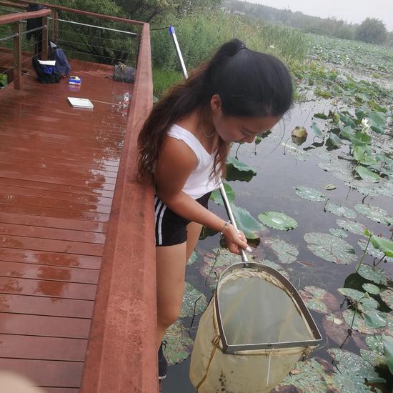 China's wetlands